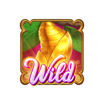 สัญลักษณ์ Wild