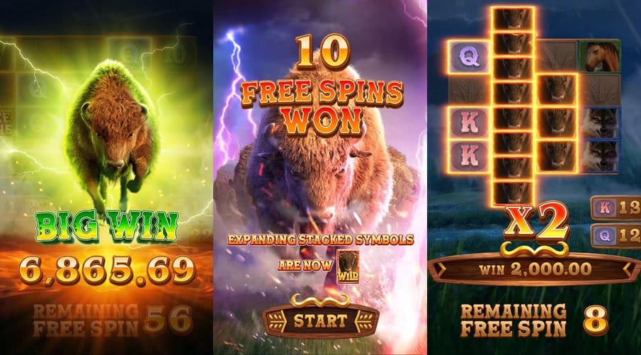 อัตราการจ่ายเงินรางวัล
