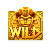 สัญลักษณ์ wild