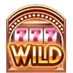 สัญลักษณ์ Wild